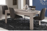Table DUCHESS couleur chene shannon/beton clair