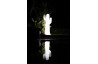 Lampe extérieure sur pied filaire pancho 140 NEWGARDEN