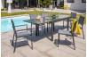 Table salon de jardin extensible en alu/verre pour 8/10 personnes DCB Garden TOLEDE gris anthracite