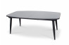 Table de jardin extensible PILAT 260 cm en aluminium Anthracite 8 personnes PARIS GARDEN