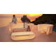 Table de jardin BUM-BUM basic par Eugeni Quitllet - Vondom