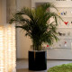 Pot de fleur 35x35x27 STUDIO PLANTERS simple par Studio Vondom - Vondom