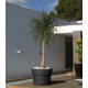 Pot de fleur 35x35x27 STUDIO PLANTERS simple par Studio Vondom - Vondom