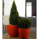 Pot de fleur 120x120x103 STUDIO PLANTERS simple par Studio Vondom - Vondom