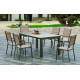 Ensemble table CAMELIA et fauteuils PRISCILA 6 personnes HEVEA en aluminium et HPL