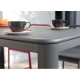 Table de jardin extensible en aluminium 8-10 personnes - EOS graphite - ProLoisirs