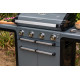 Barbecue gaz Campingaz Premium 4 Series