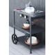 Plancha avec chariot Barbecook Victor