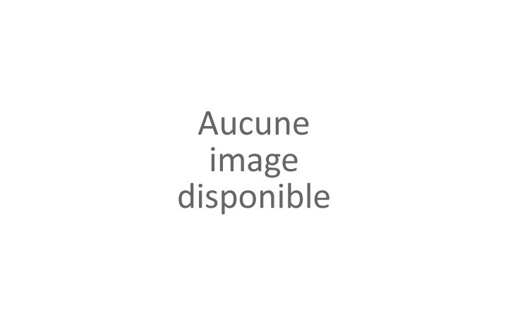 Aire de jeux pour enfants AMBROISE Chalet Jardin